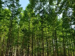 -河南省黄河迎宾馆