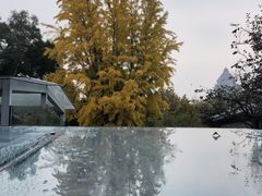 -北京石刻艺术博物馆(五塔寺)