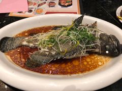 -新兴·金羊座·粤菜点心(乐峰店)