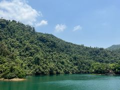 -鼎湖山风景区