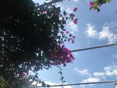 -南诏风情岛
