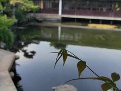 -艺圃