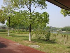 -艾溪湖湿地公园