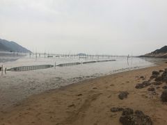 -北岐滩涂