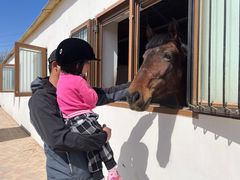 -北京群众马术培训基地