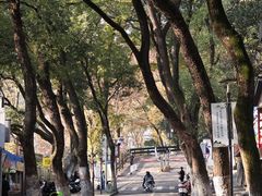 -岳麓山风景名胜区