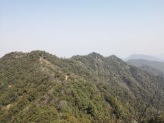 -午潮山国家森林公园