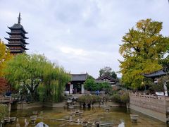 -常熟方塔园