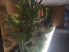 -金色印象·4K影院式足体养生(石碾盘店)