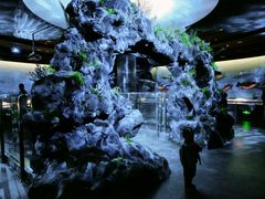 -陕西自然博物馆