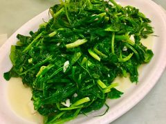 清炒豌豆尖-茅溪菜·家宴(上品拾陆店)
