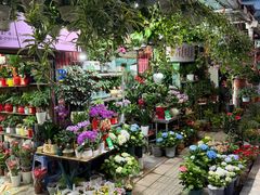 -溪岸路花鸟市场