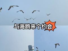 -星海广场