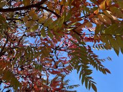 -星辉电影公园(时代广场CC MALL店)