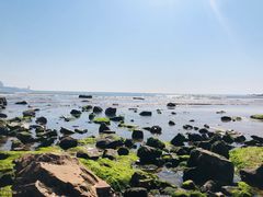 -青岛第三海水浴场