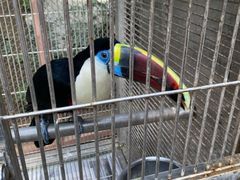 -南宫五洲植物乐园