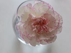 -眉州东坡(石景山店)