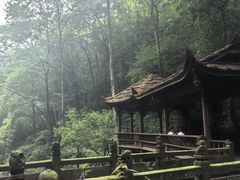 -青城山