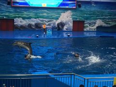 -多彩贵州城极地海洋世界