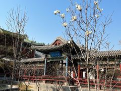 -迎泽公园
