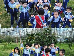 -前小桔亲子创意农场·草莓采摘·露营烧烤