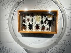 -正佳自然科学博物馆