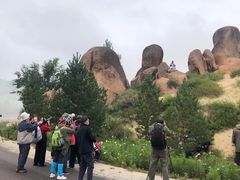 -玉龙沙湖景区