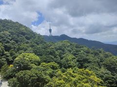 -梧桐山风景名胜区