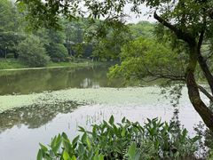 -八卦田遗址公园