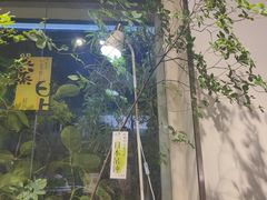 -弗劳尔花艺坊(龙涛店)