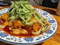 -柴窝堡22号辣子鸡·传承新疆菜