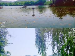 -西湖外事游船(花港观鱼码头)