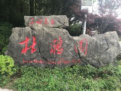 -铁山坪森林公园