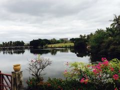 -三亚珠江南田温泉度假区