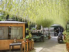 -张鸟园农家乐(张鸟园店)