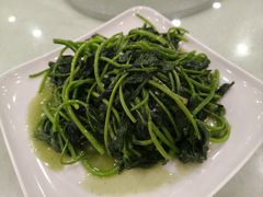 -姚林轩