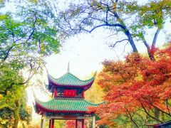 -岳麓山风景名胜区