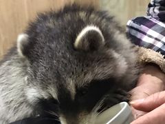 -藦茜花园宠物主题亲子互动体验馆(国顺东路店)