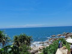 -广东惠东海龟国家级自然保护区