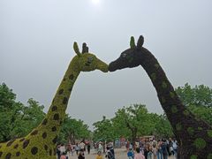 -西安秦岭野生动物园