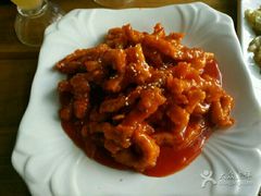 -新疆伏拉沃餐厅(白龙南路店)