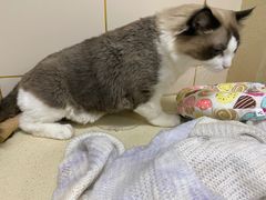 -北京佳信宠物医院