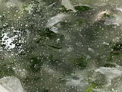 -新长岭大酒店酒楼