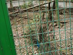 -藏龙百瀑风景区