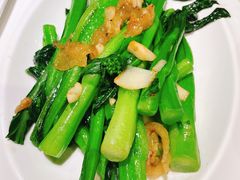 猪油渣炒菜心-陶陶居酒家(环市东店)