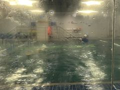 -蓝旗亲子游泳(范湖万达广场店)