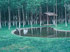 -艾溪湖湿地公园