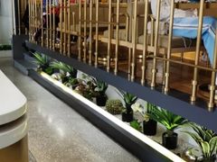 -金香匯晚茶(浑南店)