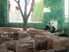-秦皇岛野生动物园