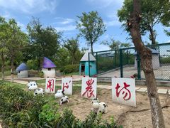 -上海滴水湖皇冠假日酒店